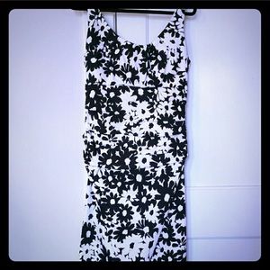 Maggy London sheath dress Black & White 12